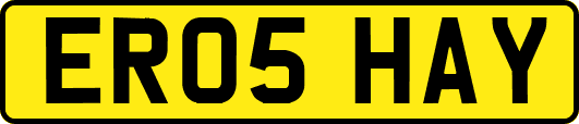 ER05HAY