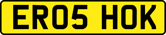 ER05HOK