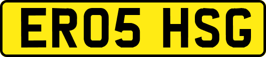 ER05HSG