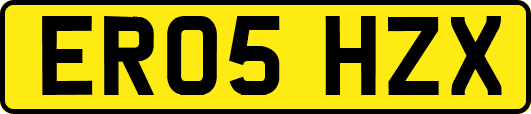 ER05HZX