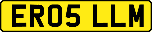 ER05LLM