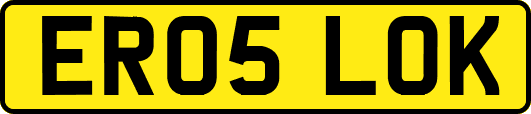 ER05LOK