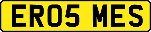 ER05MES