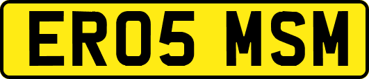 ER05MSM
