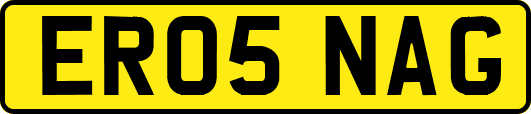 ER05NAG
