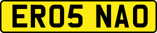 ER05NAO