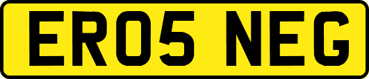 ER05NEG