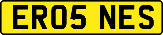 ER05NES