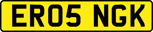 ER05NGK