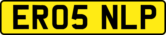 ER05NLP