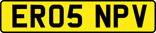 ER05NPV