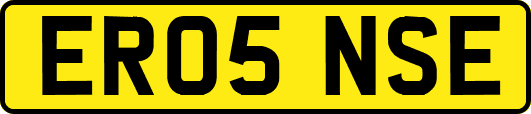 ER05NSE
