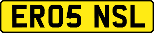 ER05NSL