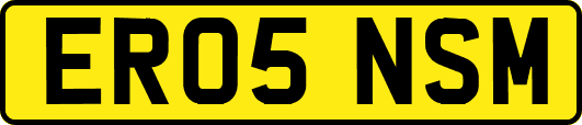 ER05NSM