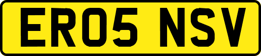 ER05NSV