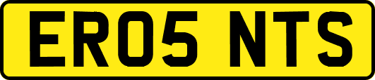 ER05NTS
