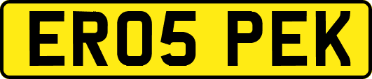 ER05PEK