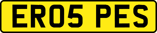 ER05PES