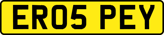 ER05PEY