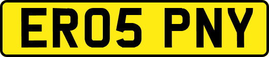 ER05PNY