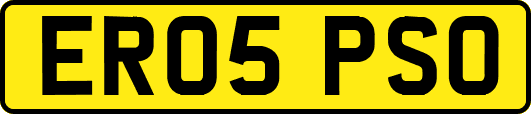 ER05PSO