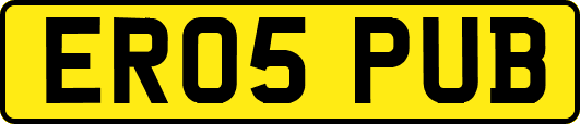 ER05PUB