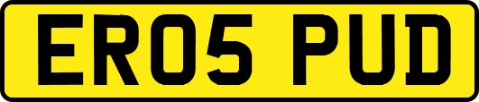 ER05PUD