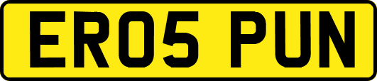 ER05PUN