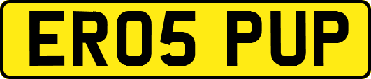 ER05PUP