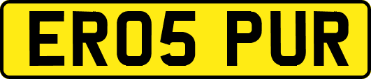 ER05PUR