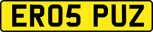 ER05PUZ