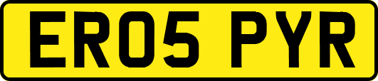 ER05PYR