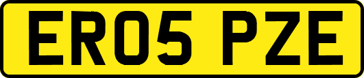 ER05PZE
