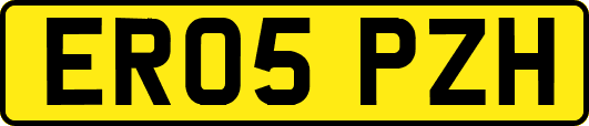 ER05PZH