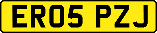 ER05PZJ