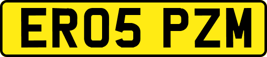 ER05PZM