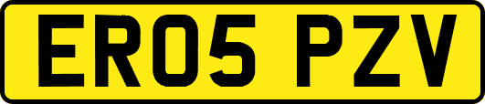 ER05PZV