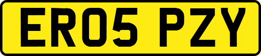 ER05PZY