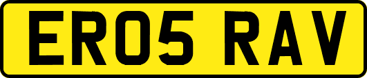ER05RAV