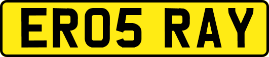 ER05RAY