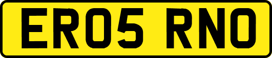ER05RNO