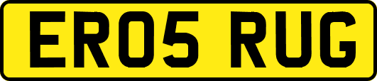 ER05RUG