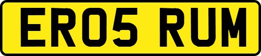 ER05RUM