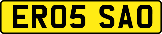 ER05SAO