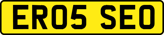 ER05SEO