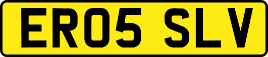 ER05SLV