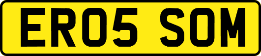 ER05SOM