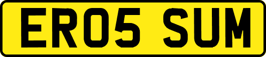 ER05SUM
