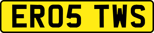 ER05TWS