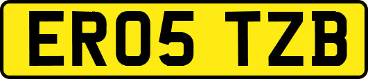 ER05TZB